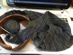 Hitchhiker in progress